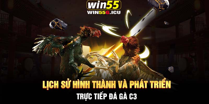 Lịch sử hình thành và phát triển trực tiếp đá gà C3