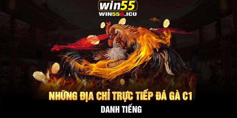 Những địa chỉ trực tiếp đá gà C1 danh tiếng