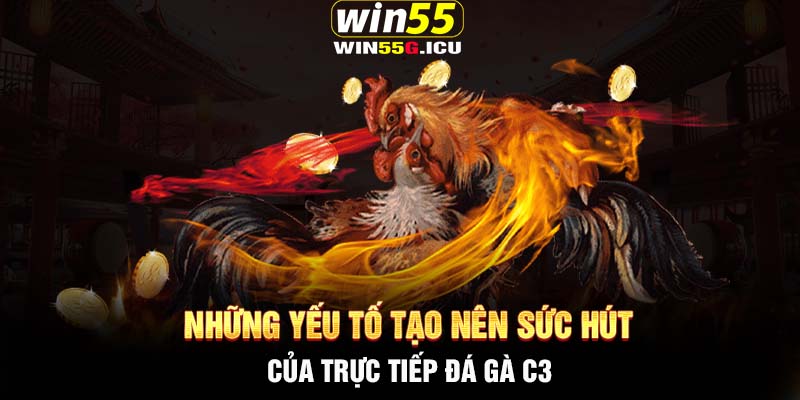 Những yếu tố tạo nên sức hút của trực tiếp đá gà C3