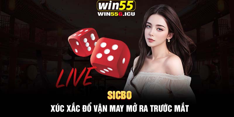 Sicbo - Xúc xắc đổ vận may mở ra trước mắt ngay hôm nay