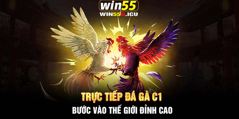 Trực tiếp đá gà C1-  Bước vào thế giới đỉnh cao